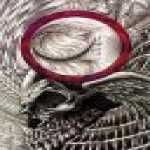 thumb_745 (Medium).jpg